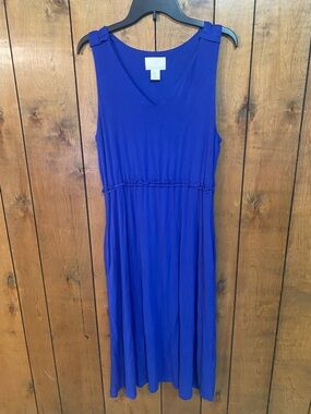 Cynthia Rowley Sleeveless V-Neck Maxi Dress in Royal Blue